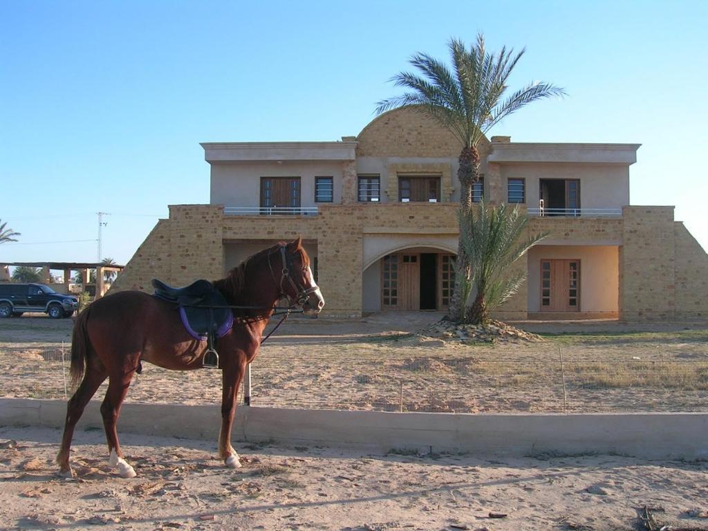 Hotel Bella Djerba Houmt Souk  Exterior foto
